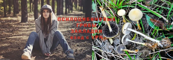 а пвп мука Зерноград
