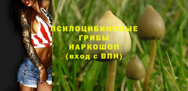 МДПВ Зеленокумск