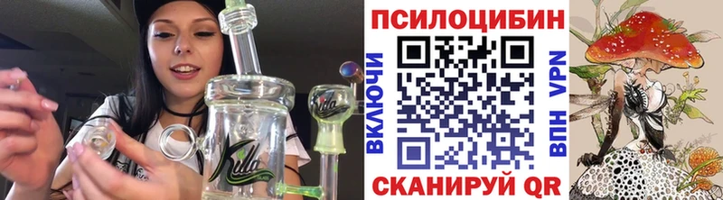 мориарти телеграм  Нерюнгри  Псилоцибиновые грибы Magic Shrooms  купить  